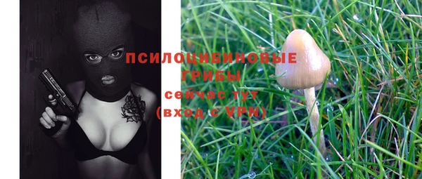 бутират Баксан