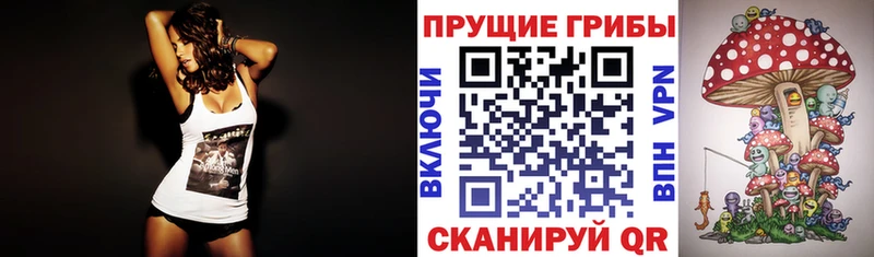 Галлюциногенные грибы MAGIC MUSHROOMS blacksprut вход Нытва купить закладку